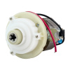 SP-BRN-0247-3