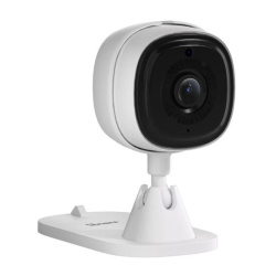 S-CAM