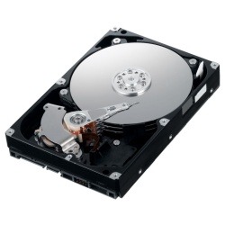 U-WD160GB25