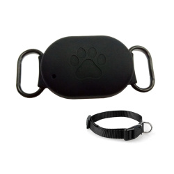 Q60-CASE