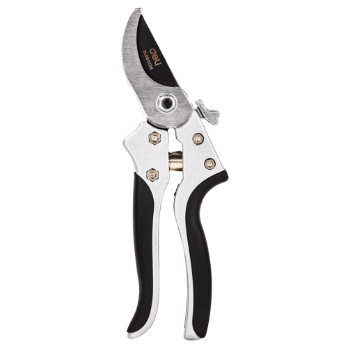 DL580206 - Smartfox DL580206